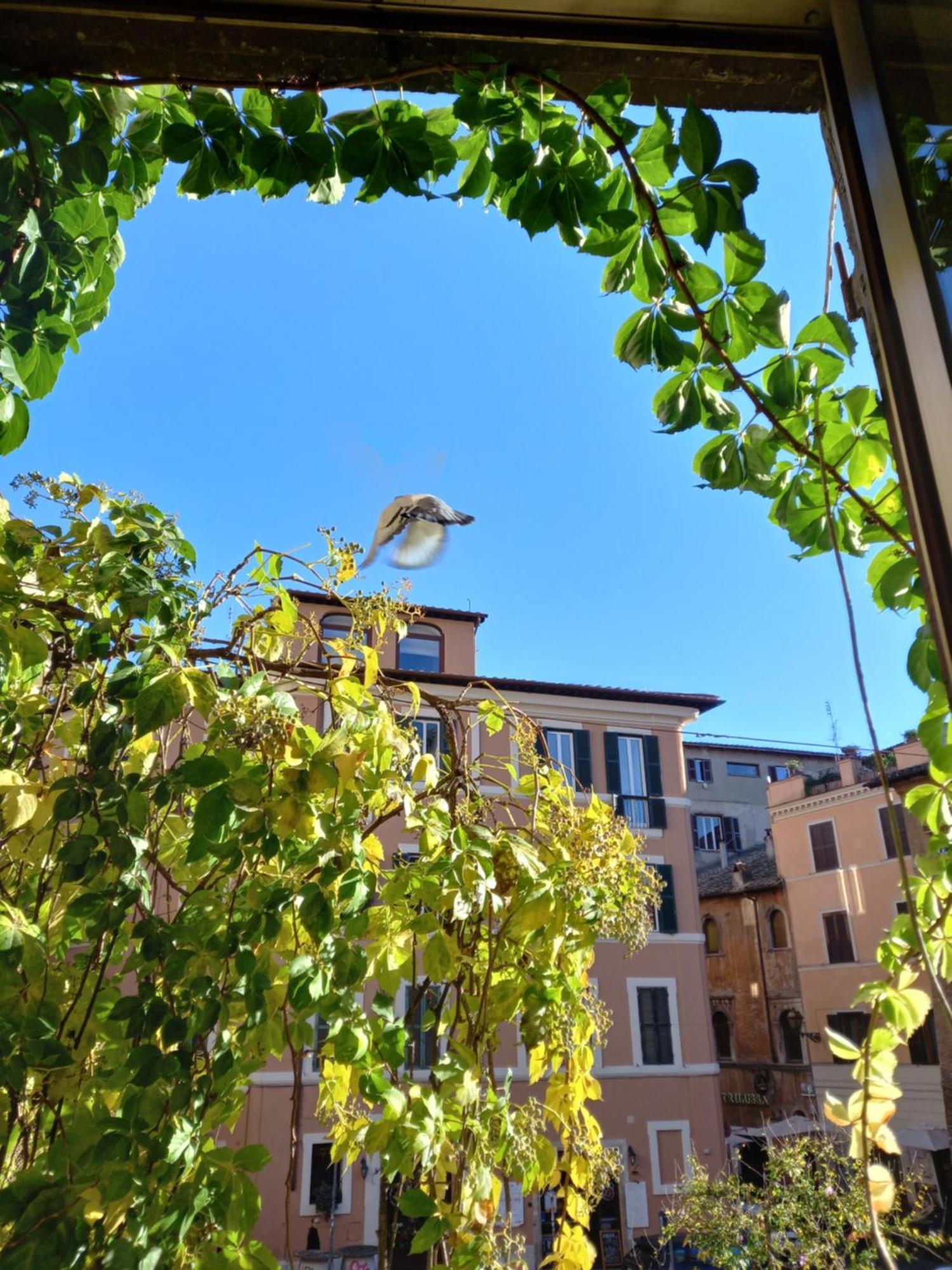 Central Apartment In Trastevere Roma Phòng bức ảnh